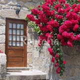 Casas de fim de semana: Paz e sossego num refúgio especial em Vouzela (fotos) 