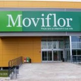 Deco Alerta: A Moviflor entrou em insolvência e quero reclamar créditos com a empresa. O que tenho de fazer?