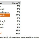 Radiografia do dia: A Palavra do Ano 2014 é…