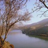 Hotéis no Douro a duas velocidades: falências e novos investimentos marcam a zona norte