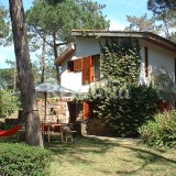 Casas de fim de semana: Desfrutar da paz do campo num pinhal em Sintra (fotos) 