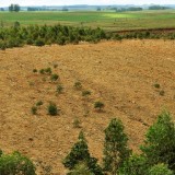 Terrenos abandonados vão ser tomados pelo Estado (guia para entenderes como e quando...)