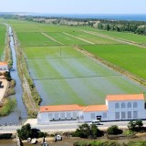 Comporta em risco de perder 20 milhões e ter "liquidação imediata"