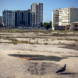 Preço base da hasta pública dos terrenos foi fixado em 137,7 milhões (Foto: Público).