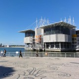Oceanário de Lisboa passa hoje para as mãos da Sociedade Francisco Manuel dos Santos