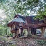 A misteriosa casa-árvore que foi vendida numa hora