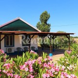 Casas de fim de semana: Dormir num bungalow rodeado de natureza no Alentejo