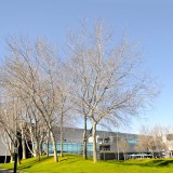 Escritórios: Nove edifícios na Quinta da Fonte vendidos por fundo alemão a joint venture