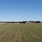Governo vai criar Banco de Terras para património do Estado, mantendo Bolsa de Terras para os privados