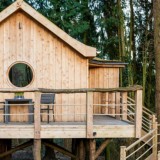 Um "ninho de amor" para São Valentim (literalmente)