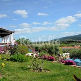 Casas de fim de semana: Desfrutar da paz do campo em Estremoz (fotos) 