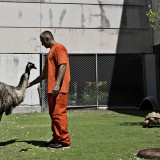 A prisão que é (também) um zoo de animais exóticos abandonados 