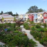 Cohousing ou uma forma diferente de viver... em consenso e com poupanças
