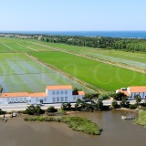 Herdade da Comporta deve 106 milhões de euros à CGD