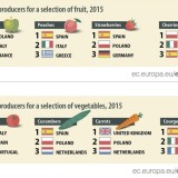 Portugal foi o terceiro maior produtor de tomate da UE em 2015