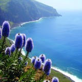 Promotor imobiliário da Madeira acusado em tribunal por enganar investidores britânicos