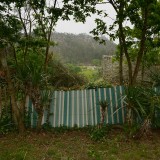 Terrenos por limpar e edifícios abandonados, o combustível que queimou o Funchal