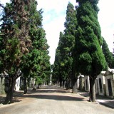 Imóveis ao lado de cemitérios ou ETAR passam a pagar menos 10% de IMI