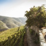 Quinta Nova Luxury Winery House (da família Amorim) premiada por guia de luxo britânico 