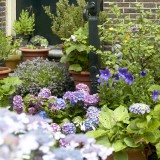 Deco Alerta: Sabias que é proibido (e dá multa) colocar vasos de flores nas escadas?