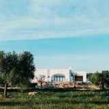 Casa de sonho: assim é uma espetacular e moderna herdade produtora de azeite