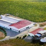 As casas da semana (de 14 a 18 de novembro)