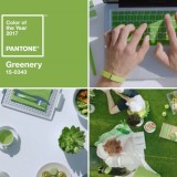 Pantone elege o verde idealista como Cor do Ano