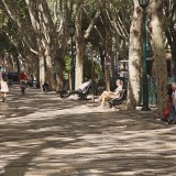 Av.Liberdade é cada vez mais uma zona residencial e menos de escritórios