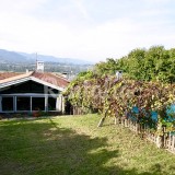 Casas de fim de semana: Abraçar a natureza numa casa rural em Viana do Castelo