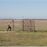 Aeroporto no Montijo já está a fazer subir preço das casas e leva à construção de hotéis 