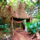 Um jardim botânico abandonado no Japão que parece o Parque Jurássico