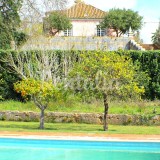 Casas de fim de semana: Natureza em estado puro e praia nos arredores de Sesimbra 