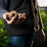 Governo já contratou mais de mil jovens agricultores num investimento de 356 milhões