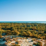 Vai nascer um projeto imobiliário em Grândola após investimento de 200 milhões