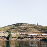 Mais de 86% dos terrenos rurais estão sem registo 