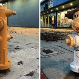 De boca de incêndio... a princesa Leia