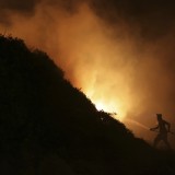 Grandes incêndios de 2017 afetaram cerca de 10.000 empregos 