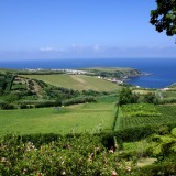Açores já têm 1631 casas para turistas