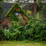Uma casa, literalmente engolida pela natureza