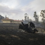 Incêndios: mais de 90% das casas afetadas em Pedrógão estão em obras ou concluídas