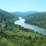 Rio Douro recebeu 1,2 milhões de turistas no ano passado