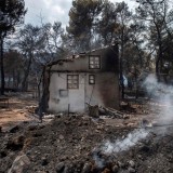 Incêndios na Grécia: Casas ilegais e falta de planeamento urbano foram mistura explosiva