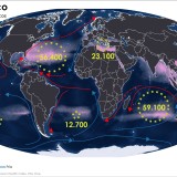Um planeta chamado plástico... 