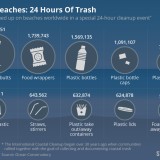 Combate à poluição nas praias: isto é o que “dá à costa” em apenas 24 horas