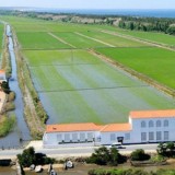 Só o consórcio Amorim/Vanguard está na corrida à compra dos ativos da Herdade da Comporta 