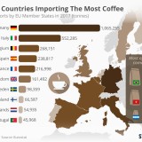 Os países da UE que importam mais café são...