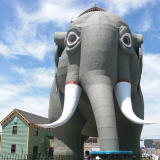 Um elefante? Ou um escritório?