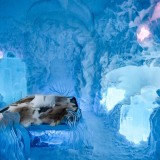 O Icehotel é esculpido todos os anos