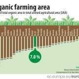 Agricultura biológica ganha adeptos em Portugal e na UE