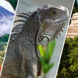 Onde ficam os paraísos da reforma?